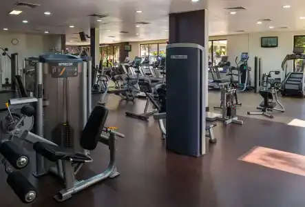 Radisson Blu & Resort, Al Ain - 22