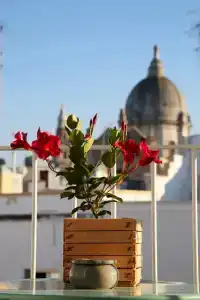 Santa Maria 24 - 7