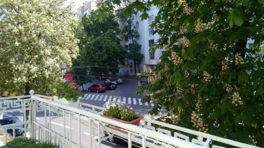 Maison Blanche Kyiv - 53