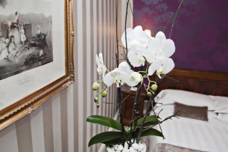 Albergo Terminus - 40