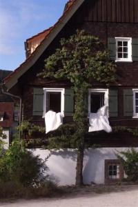 Gutshof-Waldknechtshof - 42