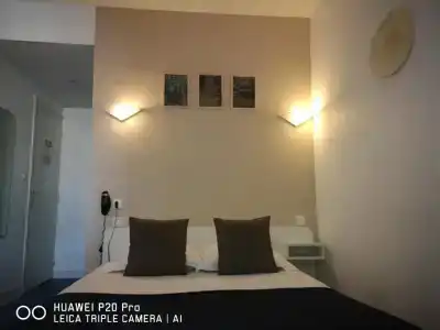 Hôtel Trianon Tours - 46