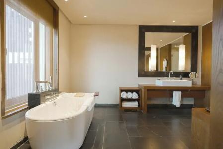 The St. Regis Lhasa Resort - 82
