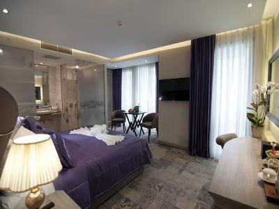 Nupelda Bosphorus Taksim - 34
