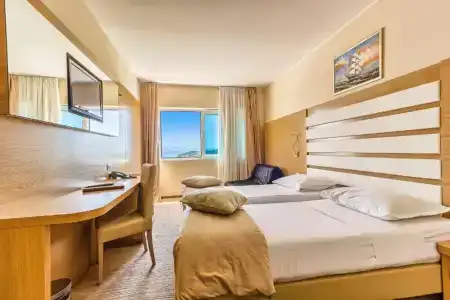 Panorama - 100