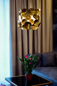 Amedia & Suites Dachau - 24