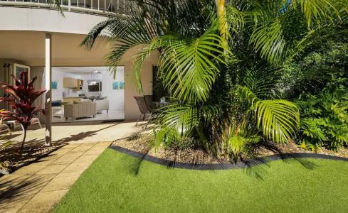 Noosa River Palms - 25