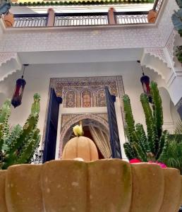 Riad Ta'achchaqa - 51