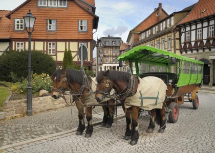 RegioQuedlinburger Hof Quedlinburg - 12