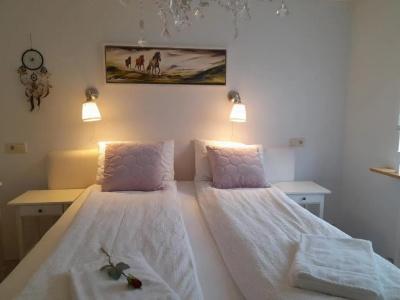 Country Dream - Langholt 2 - 51