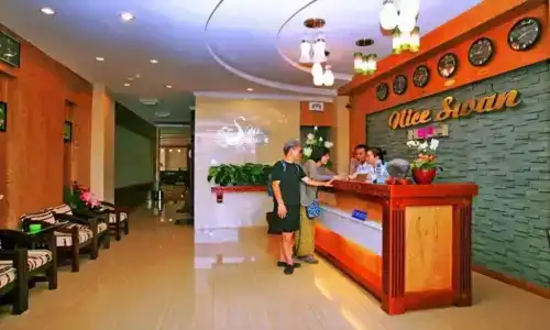 Nice Swan - 17