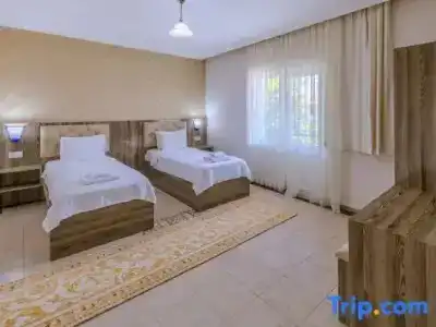 Afyon Dundar Thermal Villa - 53