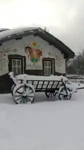 Чаривна Тайстра - 0
