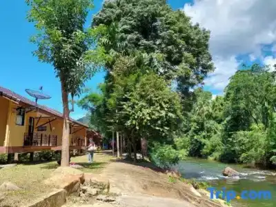 Khaosok Rainforest Resort - 119