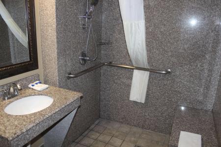 Best Western Plus Heritage Inn - 8