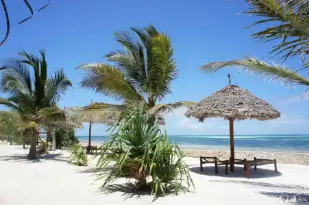 Uroa Bay Beach - 32