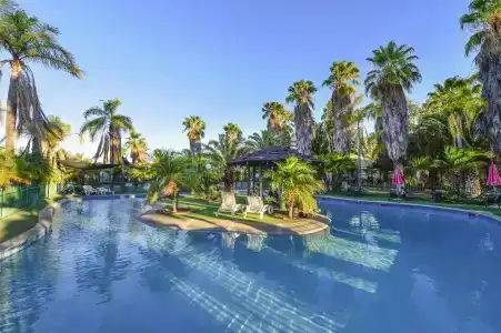 Desert Palms - 27