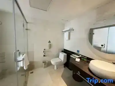 Holiday Inn Nanjing Aqua City, An Ihg - 87