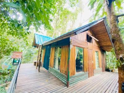 Khao sok tree house resort - 65