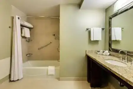 DoubleTree by Hilton Chicago Magnificent Mile - 10