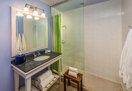 Indigo Houston at the Galleria, an IHG Hotel - 7