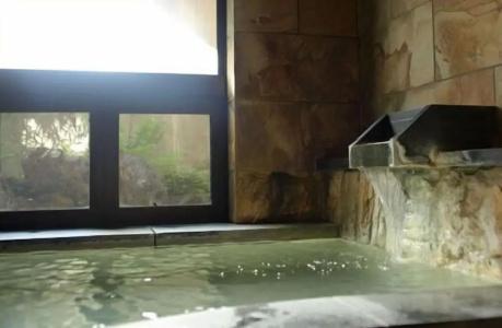 Hakuba Onsen Ryokan Shirouma-so - 11
