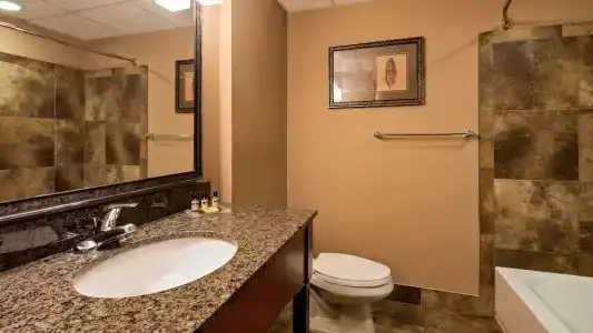 Best Western Plus - 73