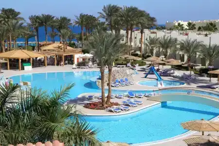 Palm Beach Resort Families and Couples only - 9