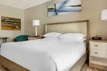 Hilton Grand Vacations Club SeaWorld Orlando - 87