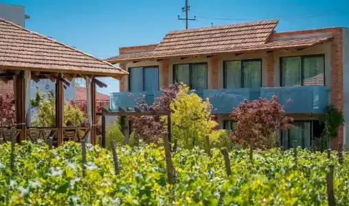 Giuaani Winery - 0