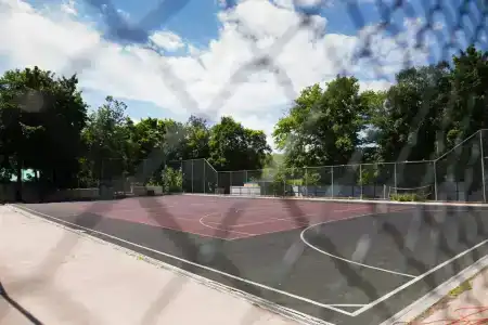 Дубрава - 20
