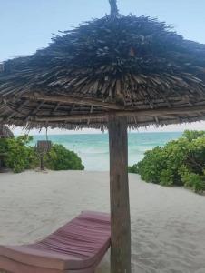 Family Beach Bungalows - 13