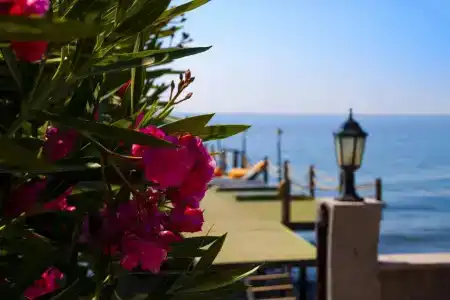Kayalar Blue Beach - 5