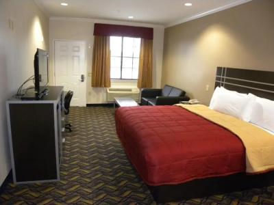 Palace Inn Kingwood - 13