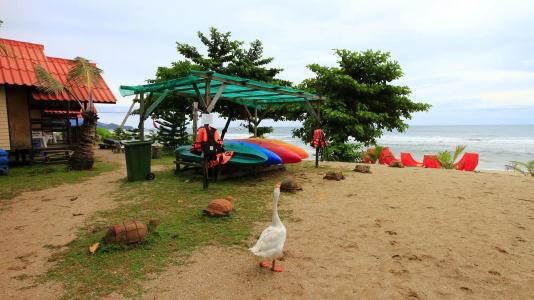 White Sand Beach Resort - 13