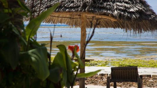 Milele Beach - 11