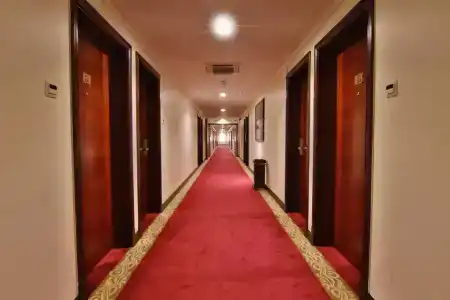Majan Continental - 11