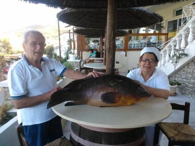 Samos Bay by Gagou Beach - 14