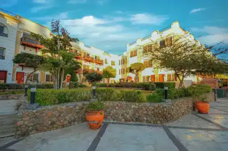 Falcon Naama Star - 32