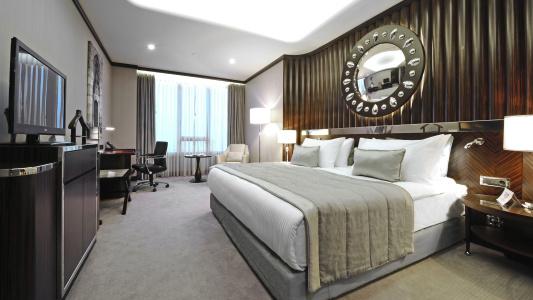 Crowne Plaza Bursa Convention Center & Thermal Spa, An Ihg - 6