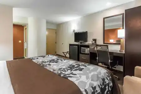 Sleep Inn - 45