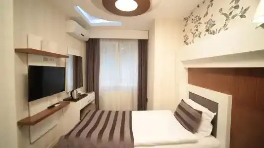 Black Tulip - 16