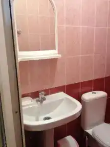 Георгина - 3