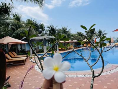 Orange Resort - 206
