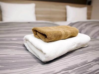Route-Inn Toyama Ekimae - 38