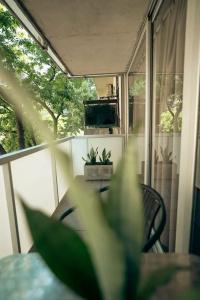 Sucre Suites - 313