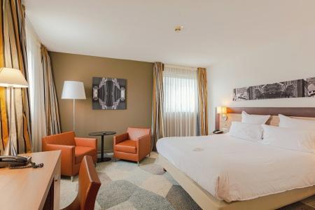 Holiday Inn Mulhouse, An Ihg - 76