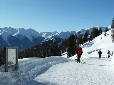 Typically Swiss Altana - 17