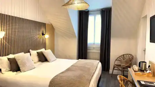 Best Western Le Vinci Loire Valley - 58