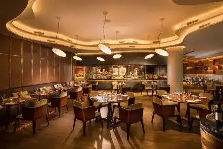 Voco Orchard Singapore - Sg Clean, An Ihg - 17